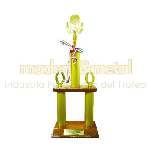Imagen de Trofeo económico - M1.210